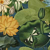Lotus Blossom wallpaper-Mind the Gap-Original-300 cm (standaard)-Selected-Wallpapers-Interiors