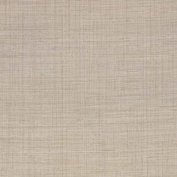 Palm wallpaper-Mark Alexander-Powder-Roll-Selected Wallpapers-Interiors