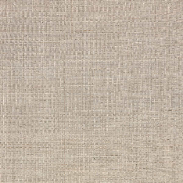 Palm wallpaper-Mark Alexander-Powder-Roll-Selected Wallpapers-Interiors
