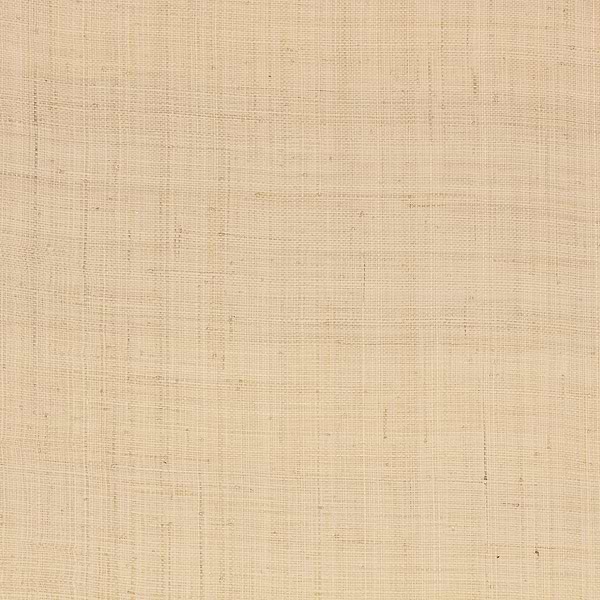Palm wallpaper-Mark Alexander-Natural-Roll-Selected Wallpapers-Interiors