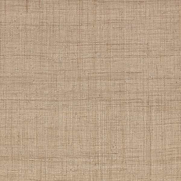 Palm wallpaper-Mark Alexander-Harvest-Roll-Selected Wallpapers-Interiors