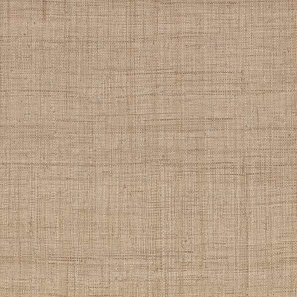 Palm wallpaper-Mark Alexander-Harvest-Roll-Selected Wallpapers-Interiors