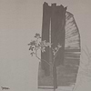 GLXVI262B