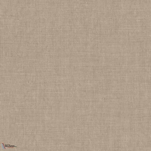 Mandu Tapete-Arte-Caraway-Rolle-Selected Wallpapers-Interiors