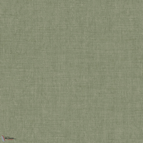 Mandu Tapete-Arte-Olive-Rolle-Selected Wallpapers-Interiors