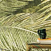 Manihi-Elitis-behang-Selected Wallpapers