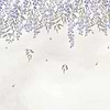 Manuela-Wallpaper-Coordonne-Lila/Indigo-Linnen-A00324-Selected Wallpapers