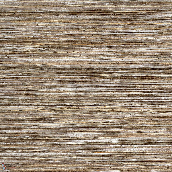 Bark