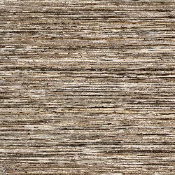Bark