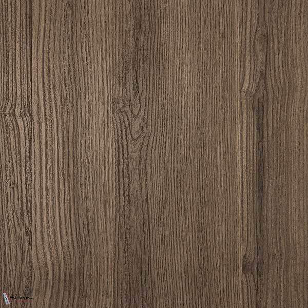 Materia wood behang-INSTABILELAB-Ash Tree-Meter (M1)-Selected-Wallpapers-Interiors