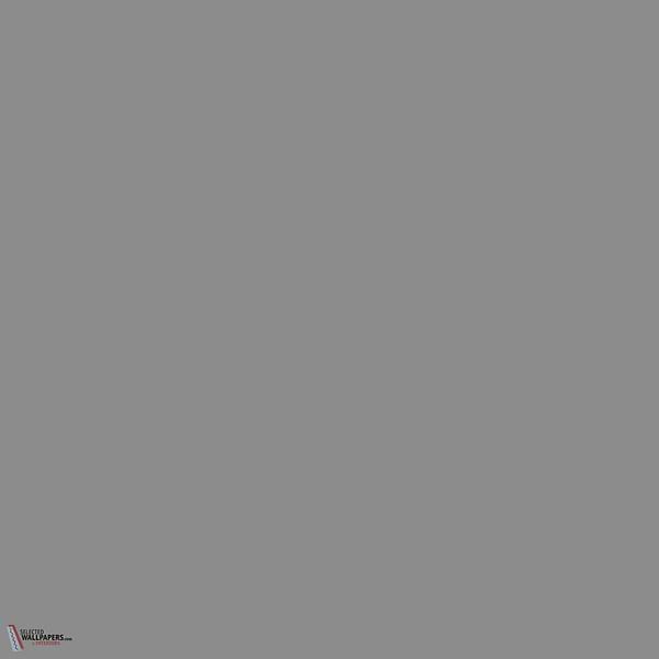 Mid Lead Colour verf Little Greene 114-Selected-Wallpapers-Interiors