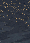 Migration Tapete-Casamance-Marine/Dore-Set-Selected-Wallpapers-Interiors