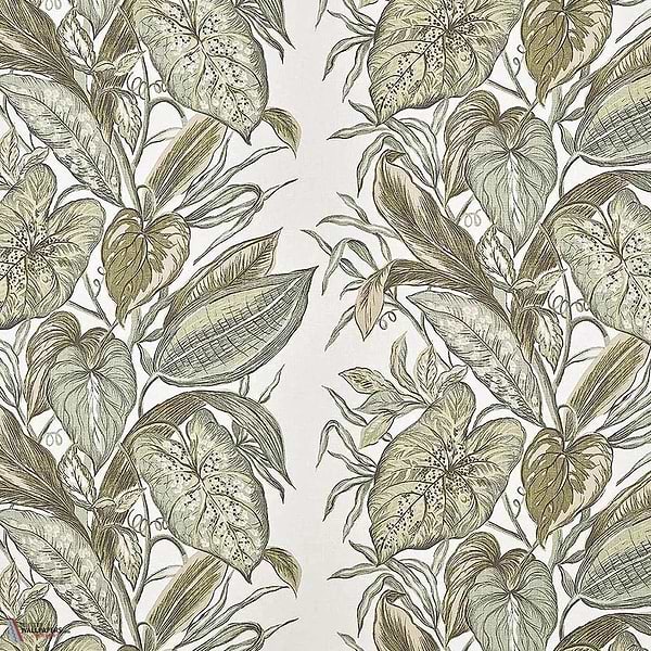 Nassau wallpaper-Pierre Frey-Agave-Meter (M1)-Selected-Wallpapers-Interiors