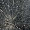 Nenuphar Sauvage wallpaper-CMO Paris-Noir-Roll-Selected Wallpapers-Interiors