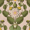 Nymphaea Tapete-Mind the Gap-Light Pink-300 cm (standaard)-Selected-Wallpapers-Interiors