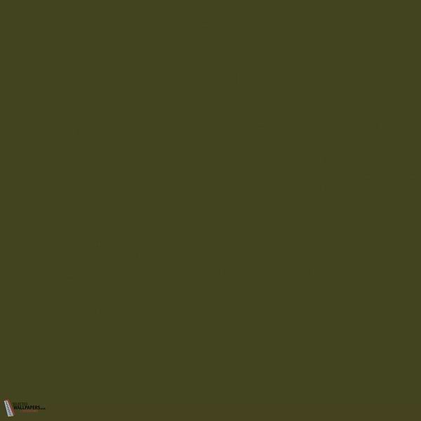 Olive Colour paint Little Greene 72-Selected-Wallpapers-Interiors
