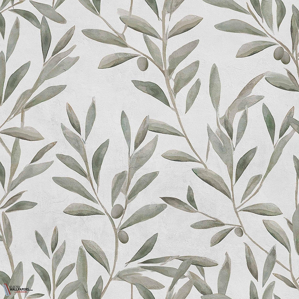 Olivetum wallpaper-Coordonne-Matcha-Non Woven-Roll-Selected Wallpapers-Interiors