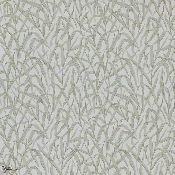 Ornamental Grasses Tapete-1838 wallcoverings-Selected Wallpapers & Interiors