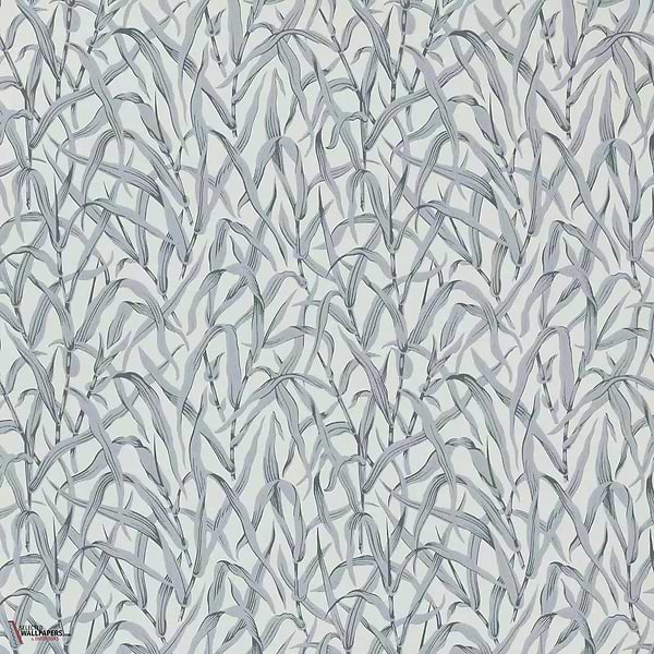 Ornamental Grasses Tapete-1838 wallcoverings-Selected Wallpapers & Interiors