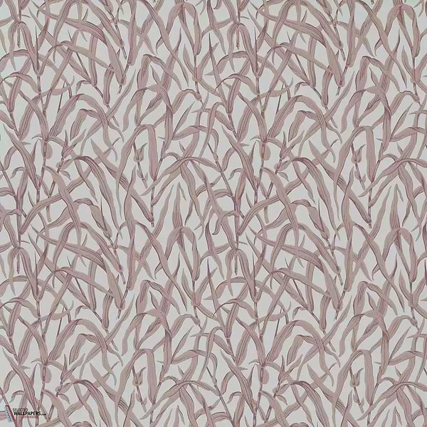 Ornamental Grasses Tapete-1838 wallcoverings-Selected Wallpapers & Interiors