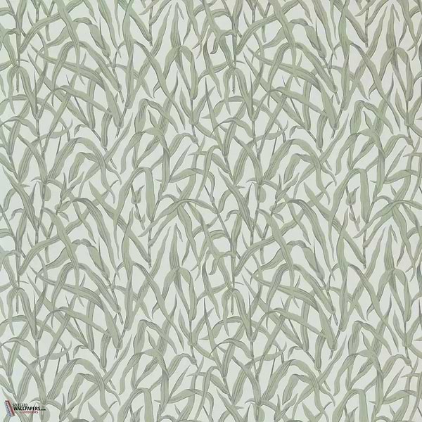 Ornamental Grasses Tapete-1838 wallcoverings-Selected Wallpapers & Interiors
