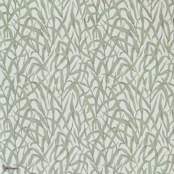 Ornamental Grasses Tapete-1838 wallcoverings-Selected Wallpapers & Interiors