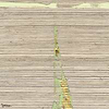 Orphee behang-Elitis-02-Rol-Selected-Wallpapers-Interiors