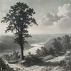 Out of the Woods Tapete-Tecnografica-Grey B-Fabric Vinyl-Selected-Wallpapers-Interiors