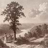 Out of the Woods Tapete-Tecnografica-Rose A-Fabric Vinyl-Selected-Wallpapers-Interiors