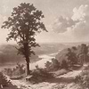 Out of the Woods Tapete-Tecnografica-Rose B-Fabric Vinyl-Selected-Wallpapers-Interiors