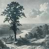 Out of the Woods Tapete-Tecnografica-Blue A-Fabric Vinyl-Selected-Wallpapers-Interiors