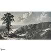 Out of the Woods Tapete-Tecnografica-Selected-Wallpapers-Interiors