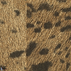 Panthere-Elitis-Tapete-7-Rolle-Selected Wallpapers