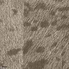 Panthere-Elitis-Tapete-11-Rolle-Selected Wallpapers