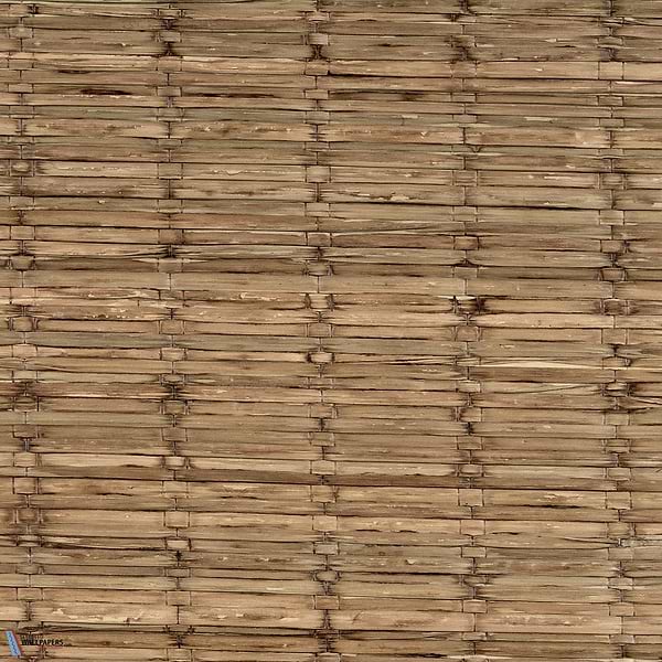 Papyrus Tresse-Tapete-CMO Paris-Sable-Meter (M1)-CMO WRS 03 15-Selected Wallpapers