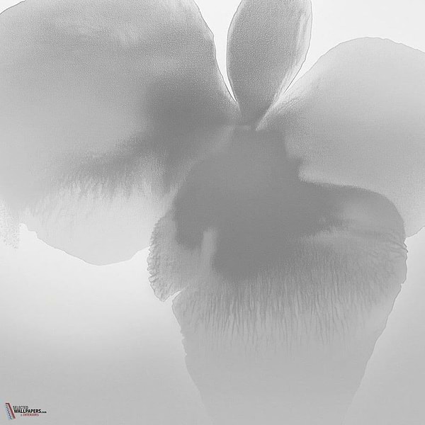 Petal Glow wallpaper-LondonArt-2-RAW-S120-M2-Selected Wallpapers & Interiors