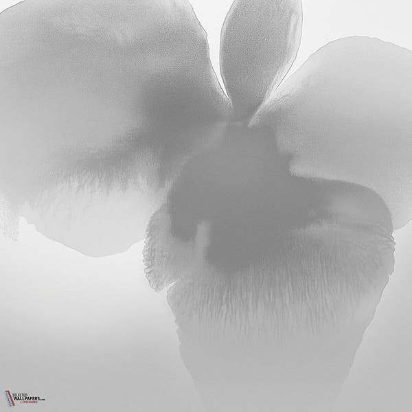 Petal Glow wallpaper-LondonArt-2-RAW-S120-M2-Selected Wallpapers & Interiors