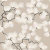 Pine Tapete-Sandberg-Beige-Rolle-Selected Wallpapers-Interiors