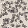 Pine Tapete-Sandberg-Brown-Rolle-Selected Wallpapers-Interiors