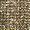 Kaki