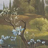 Provence wallpaper-Les Dominotiers-Selected Wallpapers-Interiors