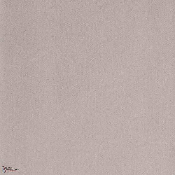 Queneau Tapete-Dedar-Chincilla-Meter (M1)-Selected Wallpapers-Interiors