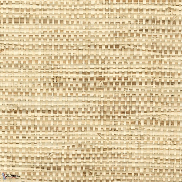 Rafta wallpaper-Elitis-02-Meter (M1)-Selected Wallpapers-Interiors