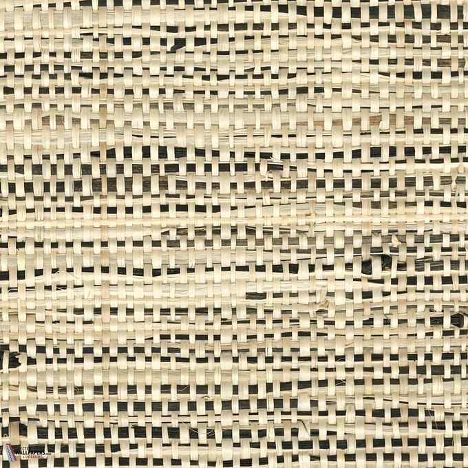 Rafta wallpaper-Elitis-03-Meter (M1)-Selected Wallpapers-Interiors