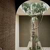 Raphia Maille Tapete-CMO Paris-Selected Wallpapers-Interiors
