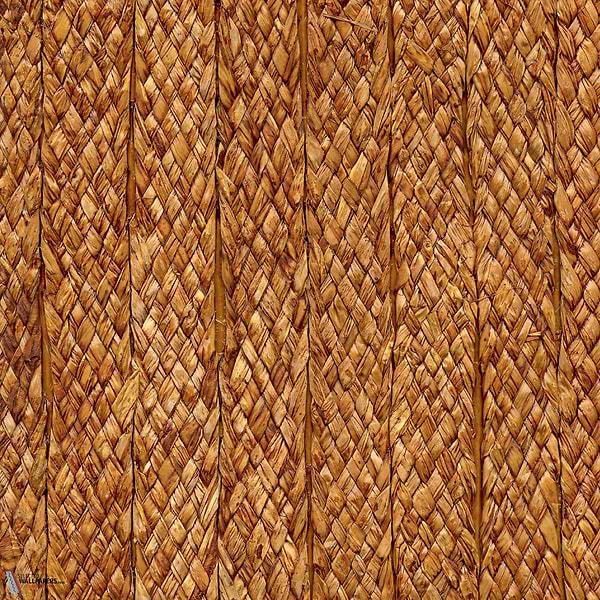 Raphia Tresse Tapete-CMO Paris-Havane-Meter (M1)-Selected Wallpapers-Interiors