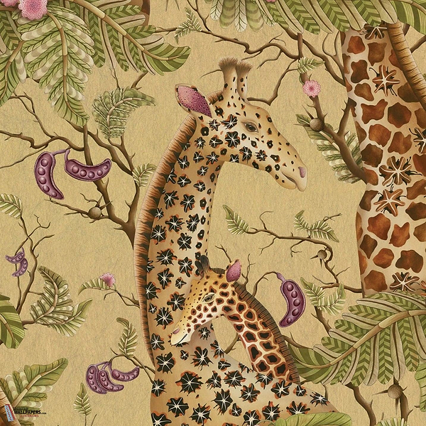 Royal Giraffe Tapete-Cole & Son-Gilded-Rolle-Selected Wallpapers-Interiors