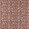 Scrolling Tulip roomshot