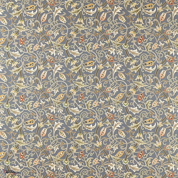 Slate/Apricot