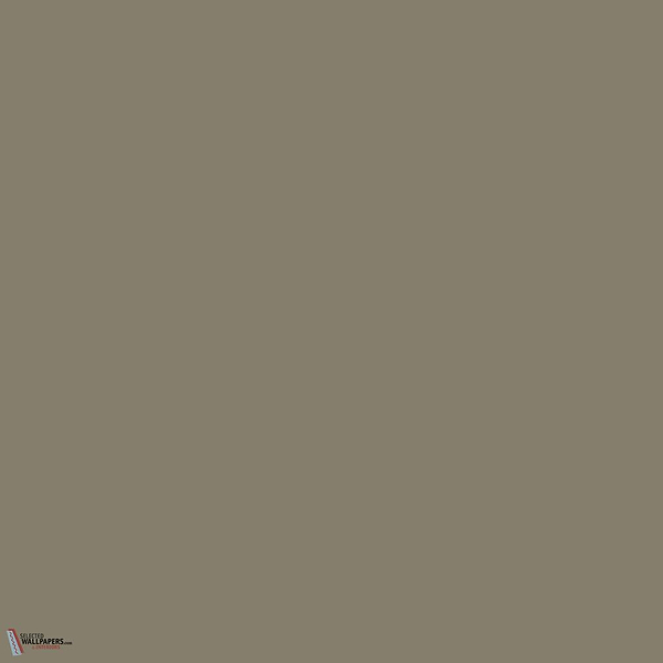 Silt paint Little Greene 40-Selected-Wallpapers-Interiors